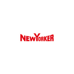 (SENIOR) CONTROLLER* IT PERFORMANCE & BUSINESS PROCESSES NEW YORKER Braunschweig 38112